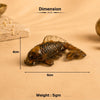 Tiger Eye Feng Shui Fish