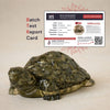 Pyrite Prosperity Tortoise (Kachhua) for Vaastu