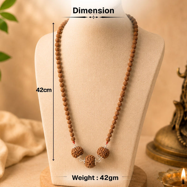 Dhan Sampatti Kawach Mala with 6 & 7 Rudraksha