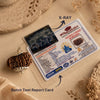 17 Mukhi Nepali Rudraksha - Satrah Mukhi