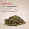 Pyrite Prosperity Tortoise (Kachhua) for Vaastu