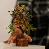 Money Magnet Fusion Tree