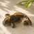 Tiger Eye Feng Shui Fish