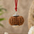 17 Mukhi Nepali Rudraksha - Satrah Mukhi