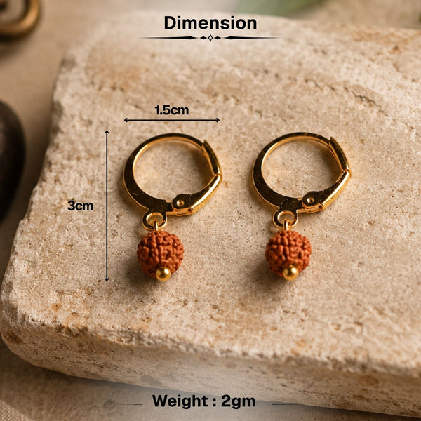 5 Mukhi Rudraksha Hoop Earrings - Pack of 2 Pairs