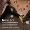Gold Plated Shiv Shankh Rudraksha Mala