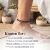 Love & Abundance Anklet with Pyrite and Garnet Stones